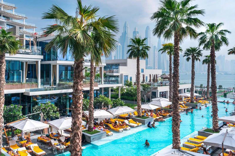 Five-Palm-Pool-article