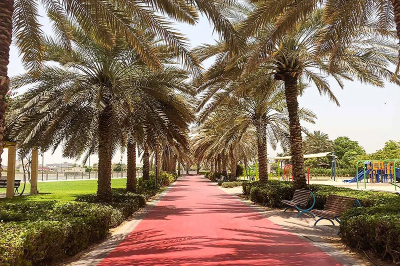 Jogging path