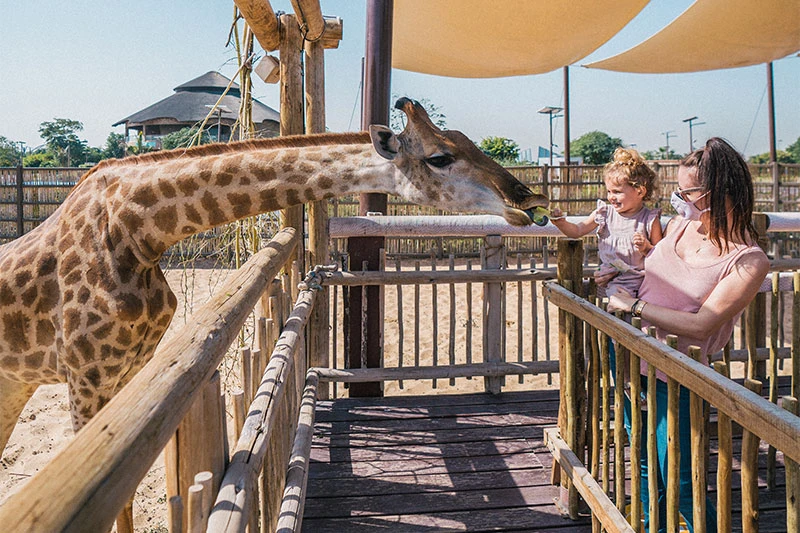 dubai safari park