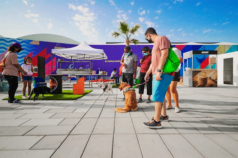 souk al marfa pet festival