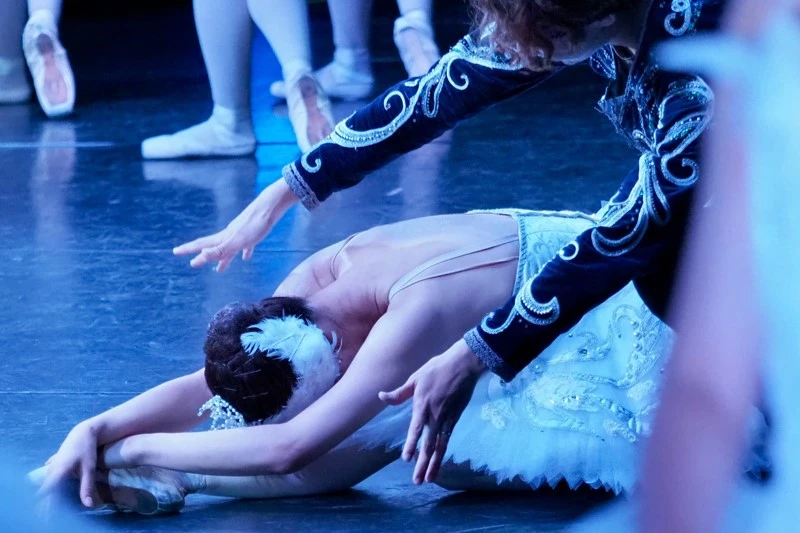 SWAN LAKE