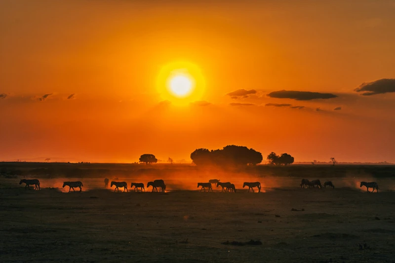kenya
