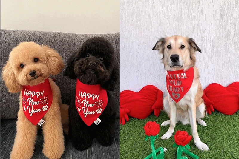 Dogbandanas