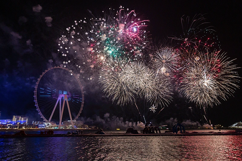 suaudinationalfirework