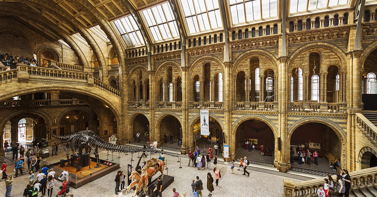 Could the Natural History Museum be coming to Abu Dhabi?